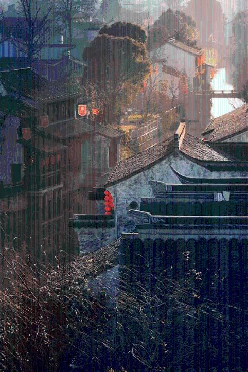 动物帮帮忙保卫家园